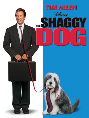 The Shaggy Dog