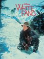 White Fang