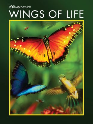 Wings of Life
