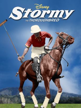 allmovie thoroughbred