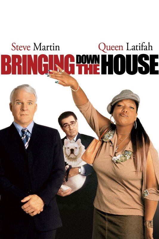 bringing down the house movie