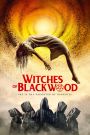 Witches of Blackwood