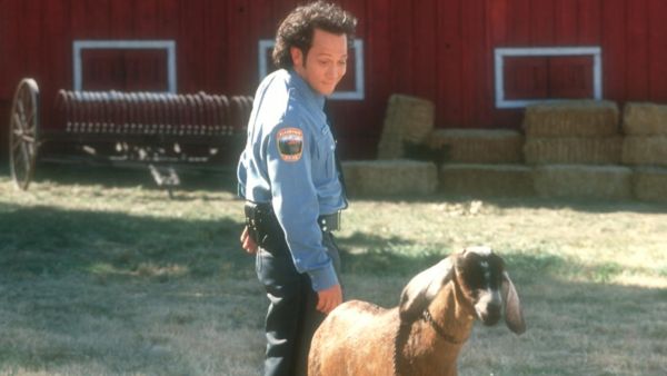 2001 The Animal 2001 The Animal