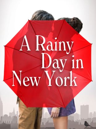 A Rainy Day in New York