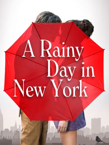 A Rainy Day In New York 2019 Woody Allen Synopsis