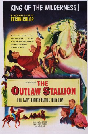 The Outlaw Stallion