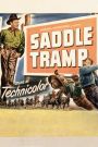 Saddle Tramp