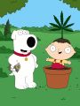Family Guy : 420
