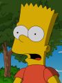 The Simpsons : The Yellow Badge of Cowardge
