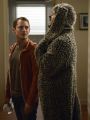 Wilfred : Stagnation