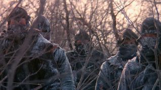 Ofelas (1987) Ofelas (1987)