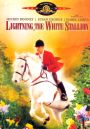 Lightning---The White Stallion