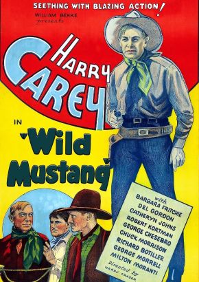 Wild Mustang (1935) Wild Mustang (1935)