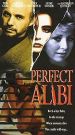 Perfect Alibi