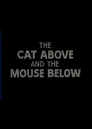 The Cat Above and the Mouse Below