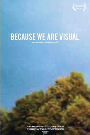 Because We Are Visual