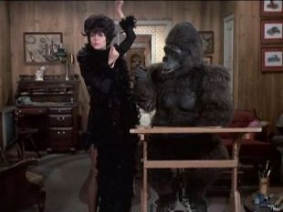 Bewitched : Darrin Goes Ape