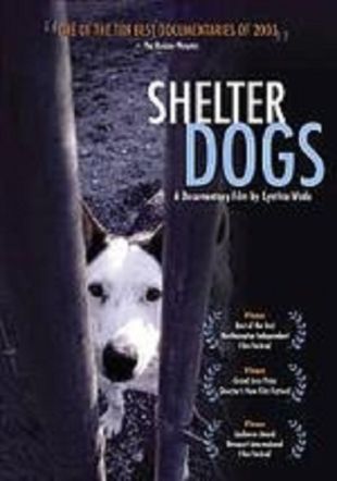 A Dog's Life: The Oscar Lose Story (2009) - Rick Pamplin | Synopsis
