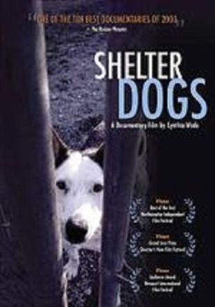 Shelter Dogs