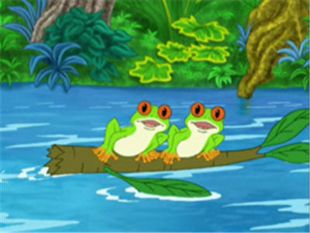 Go, Diego, Go! : Rescue the Red-Eyed Tree Frogs