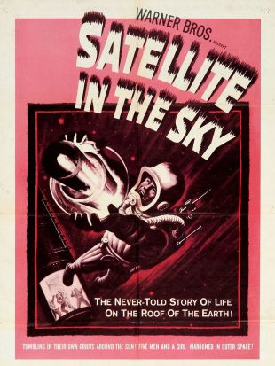 Satellite in the Sky