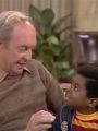 Diff'rent Strokes : Birds and Bees