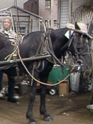 Sanford and Son : My Kingdom for a Horse
