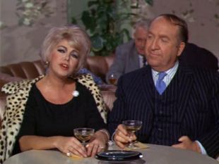 Green Acres : Never Take Your Wife to a Convention