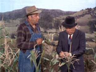 Green Acres : Oliver vs. the Phone Company