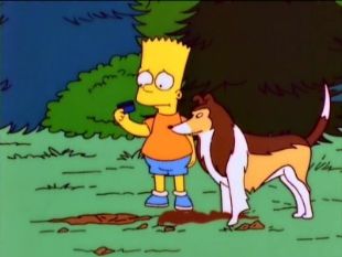 The Simpsons : The Canine Mutiny