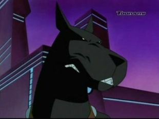 Batman Beyond : Ace in the Hole