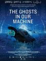 The Ghosts in Our Machine