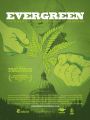 Evergreen: The Road to Legalization