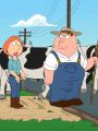 Family Guy : Farmer Guy