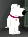Family Guy : Life of Brian