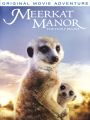 Meerkat Manor: The Story Begins