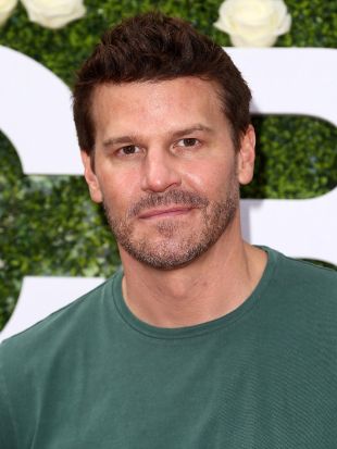 David Boreanaz