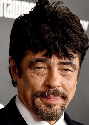 Benicio Del Toro