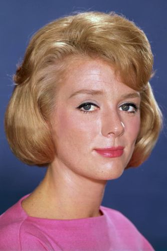 Inger Stevens | Biography, Movie Highlights and Photos | AllMovie