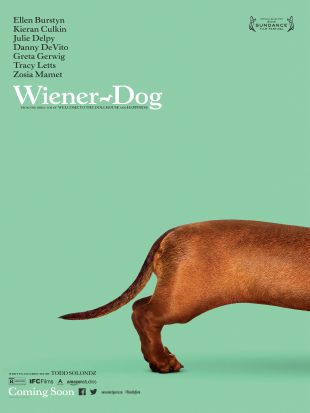 Wiener-Dog