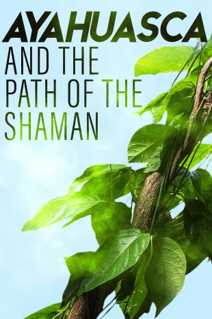 Ayahuasca and the Path of the Shaman
