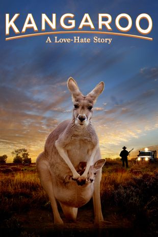 Kangaroo: A Love-Hate Story