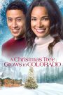 A Christmas Tree Grows in Colorado