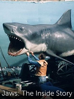 Jaws The Inside Story 10 Synopsis Characteristics Moods Themes And Related Allmovie