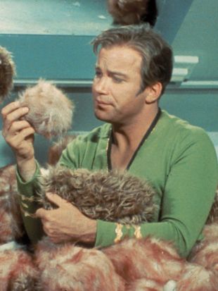Star Trek : The Trouble with Tribbles