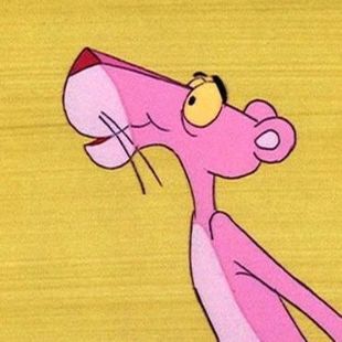 The Pink Panther Show : A fly in the Pink