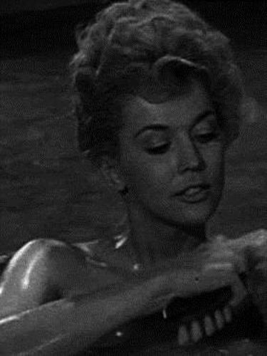 The Beverly Hillbillies Meanwhile Back At The Cabin 1962 Richard Whorf Synopsis Characteristics Moods Themes And Related Allmovie