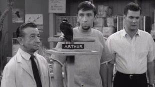 The Many Loves of Dobie Gillis : Strictly for the Birds