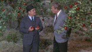 Green Acres : Apple-Picking Time