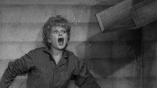 The Lucy Show : Lucy Builds a Rumpus Room (1962) - Jack Donohue | Synopsis, Characteristics, Moods, Themes and Related | AllMovie